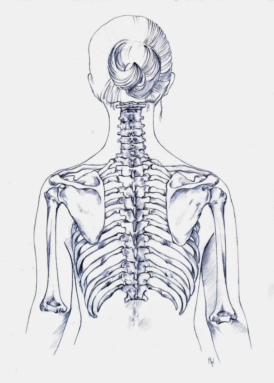 Back рисунок